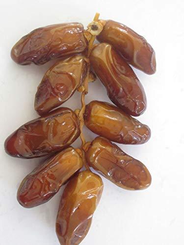 Dry Fruit Wala Dry Fruit Wala Barari Tunisian Dates 1kg