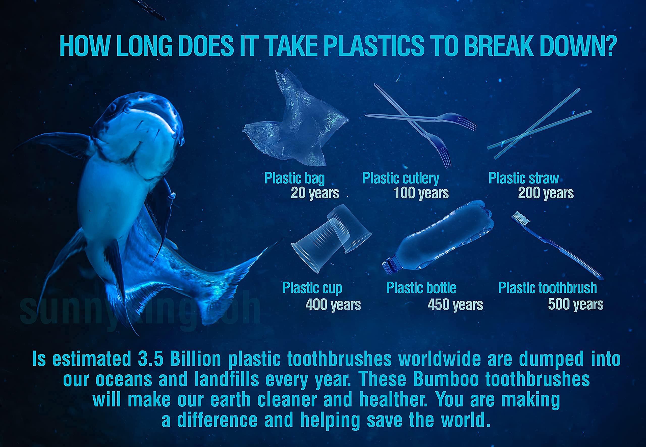 EveEco 12 Pack I Bamboo Toothbrush I Soft Bristles Best For Sensitive Gums I Charcoal I Vegan I Natural Wood I BPA Fee I Recyclable I Compostable I Biodegradable | Environmentally Friendly | By EveEco