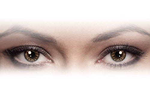 Aryan Aryan 2 Tone Contact Lens - 2 Pieces (-2.5, Brown)
