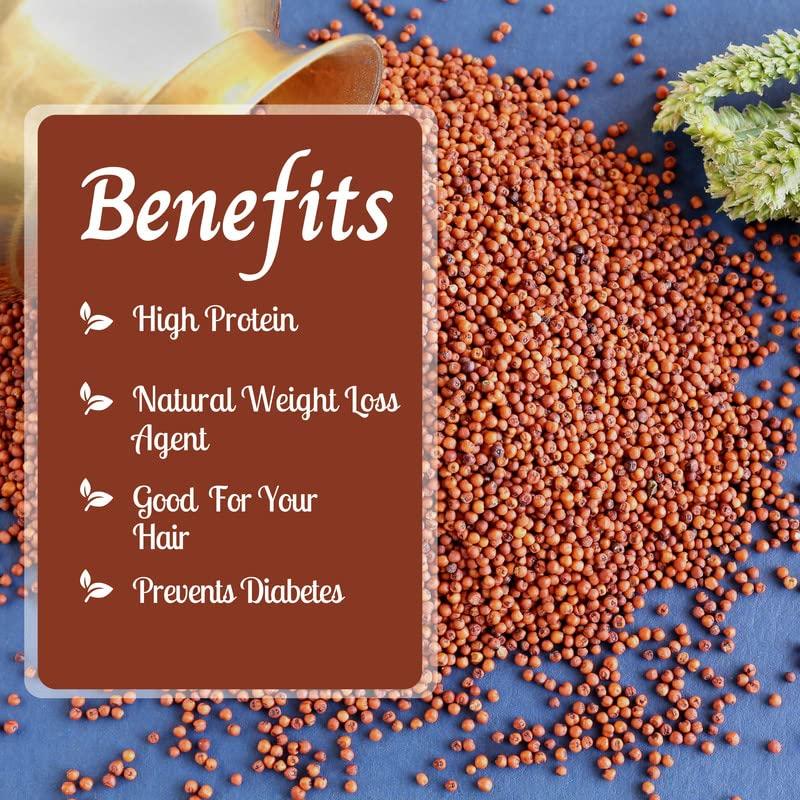 SAPPHIRE FOODS SAPPHIRE FOODS Edible Ragi Seeds Grain Whole (Finger Millet Sabut Nachni Ragulu Kezhvaragu Mandua) Grown Without Using Chemicals and Pesticides Raagi (1kg)