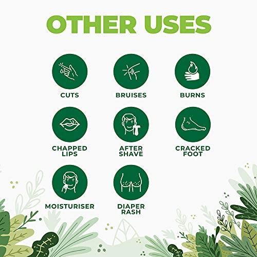 Herb & Hill GoHeal - The cream clinically proven and doctor approved to apply topically on non-healing wounds, bed sores, pressure sores, diabetic wounds And venous ulcers (10 Gram)