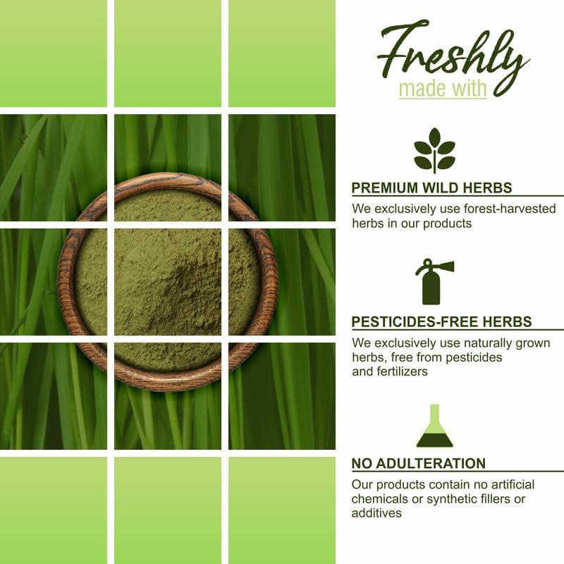 HerbalSpirit Herbal Spirit Daily Greens Supplement Superfood Powder, 400gm | Wheatgrass, Moringa, Alfalfa, Barley grass, Spirulina, Ashwagandha and Himalayan Amla fruit for Daily Greens Wellbeing Nutrition |