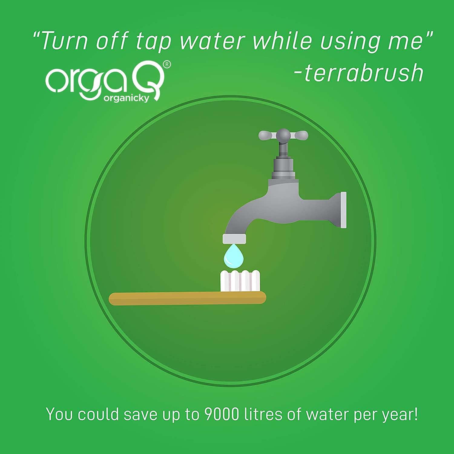 OrgaQ Organicky OrgaQ Organicky Adult Natural Bamboo Automatic Toothbrush With Castor Bean Bristle For Oral Care|Eco Friendly-2 Pc