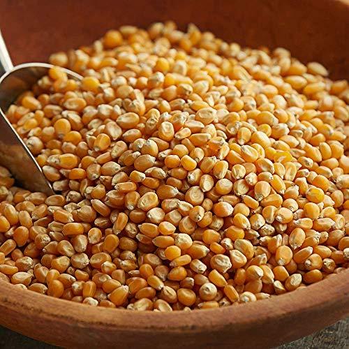 FreshoCartz FreshoCartzPopcorn Kernel Seeds | Makki Seeds | Makka Seeds | Corn Seeds | 100% Popping Kernels (Extra Soft Popcorn Makka | Makai ) (250gm)