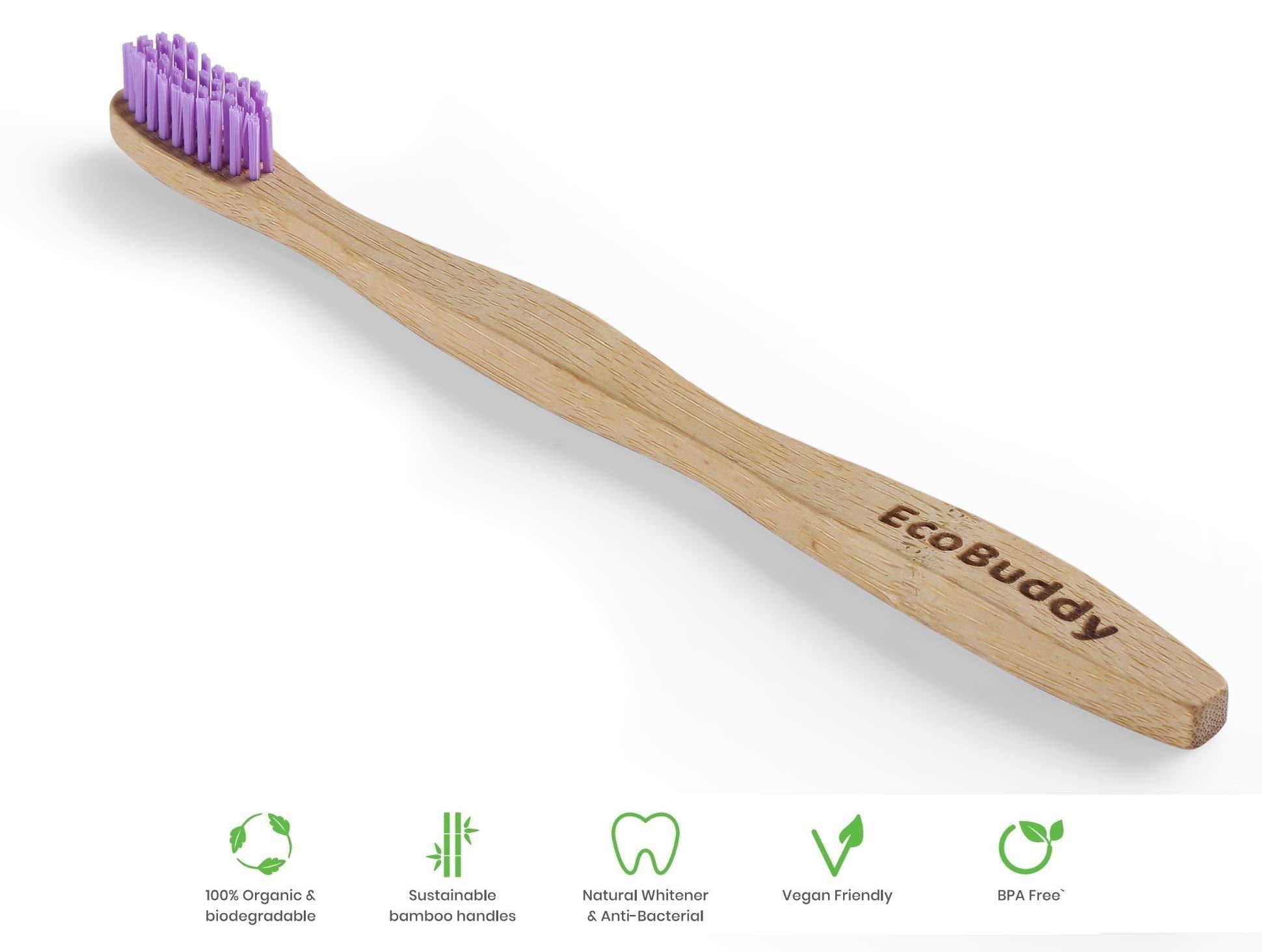 EcoBuddy EcoBuddy Bamboo Toothbrush, Nylon Medium Bristles (Purple)