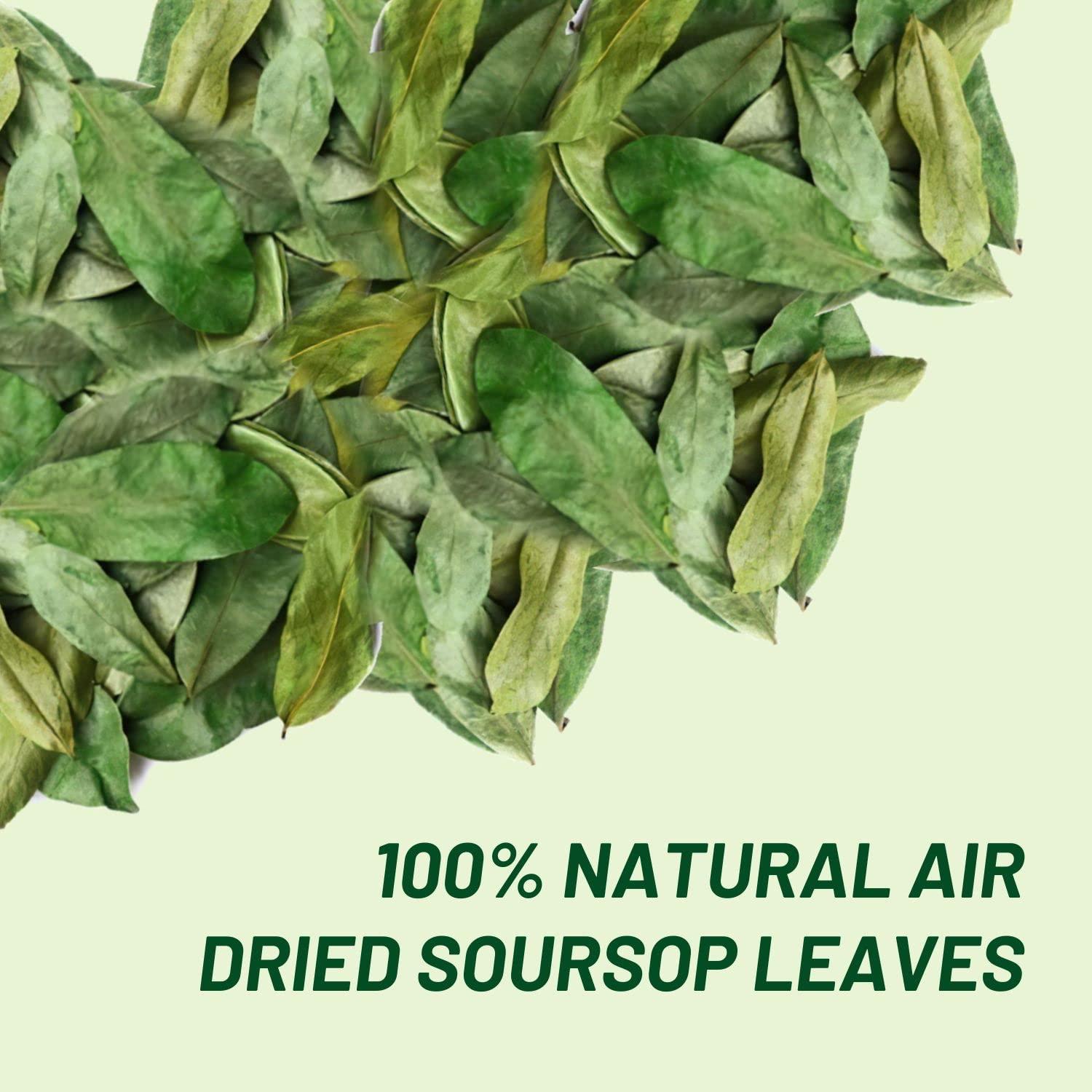 abamec Soursop Leaves, Graviola Soursop Dried Natural Leaves, 100% Natural and Handpicked Freshly Dried Soursop (Guanabana) Leaves (300 Leaves)