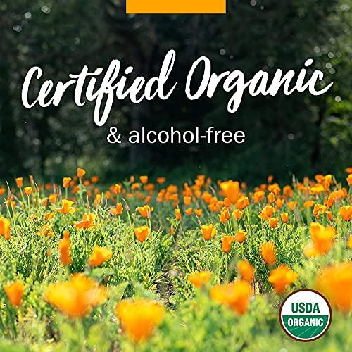 Herb Pharm Herb Pharm Kids Certified-Organic Alcohol-Free Fast Asleep Herbal Formula, 1 Ounce
