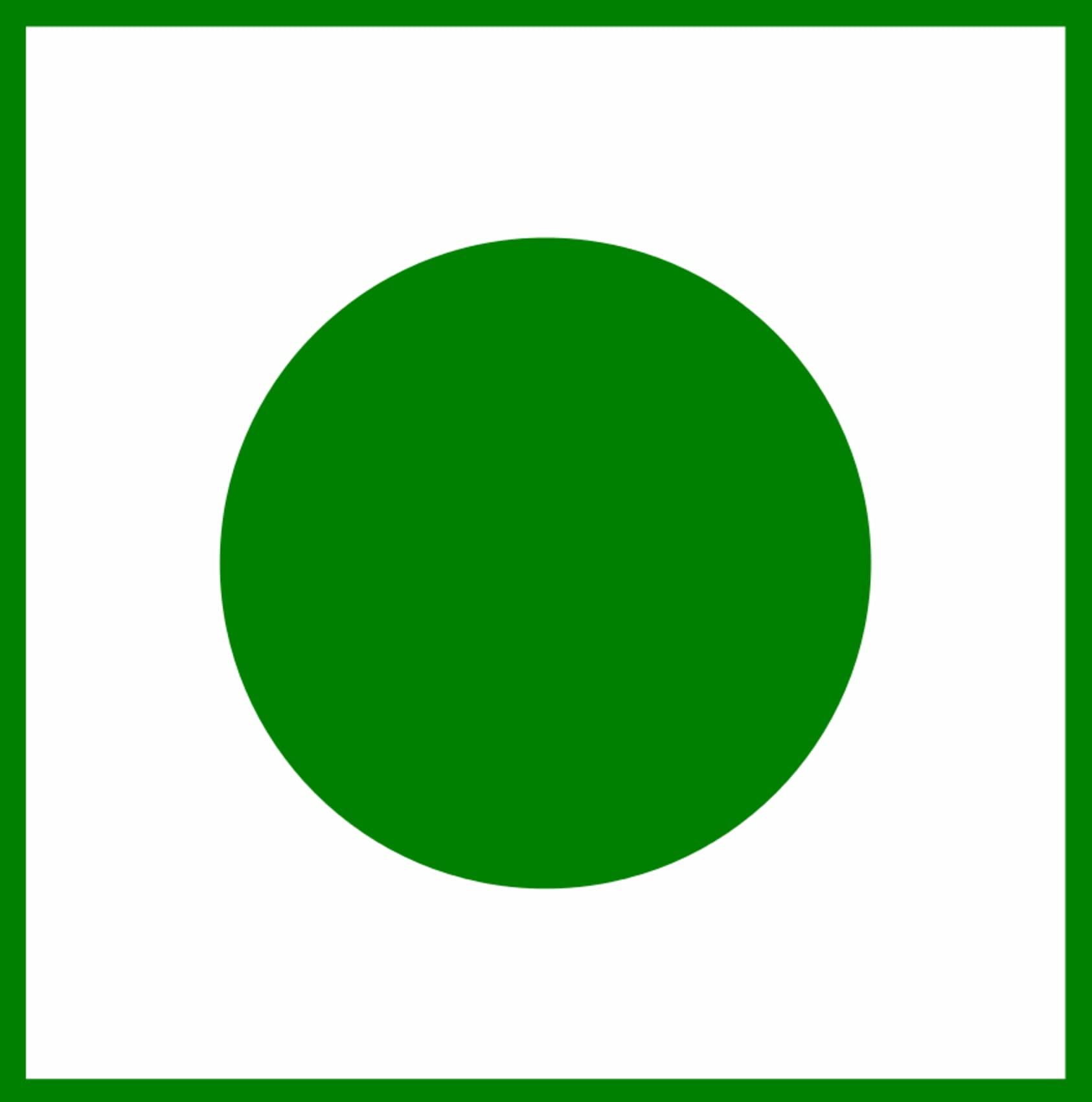 DAILY FOOD DAILY FOOD Homemade Apple Murabba, Organic Dry Indian Gooseberry No Added Sugar or preservatives. (800 Gm)