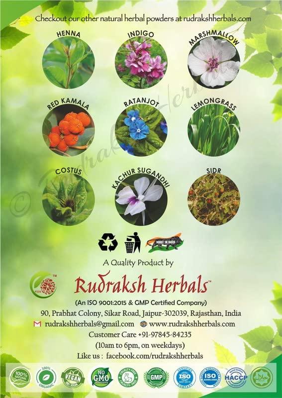 Generic Rudraksh Herbal Shallaki Powder 100% Boswellia Serrata Gum-Resin 100gm