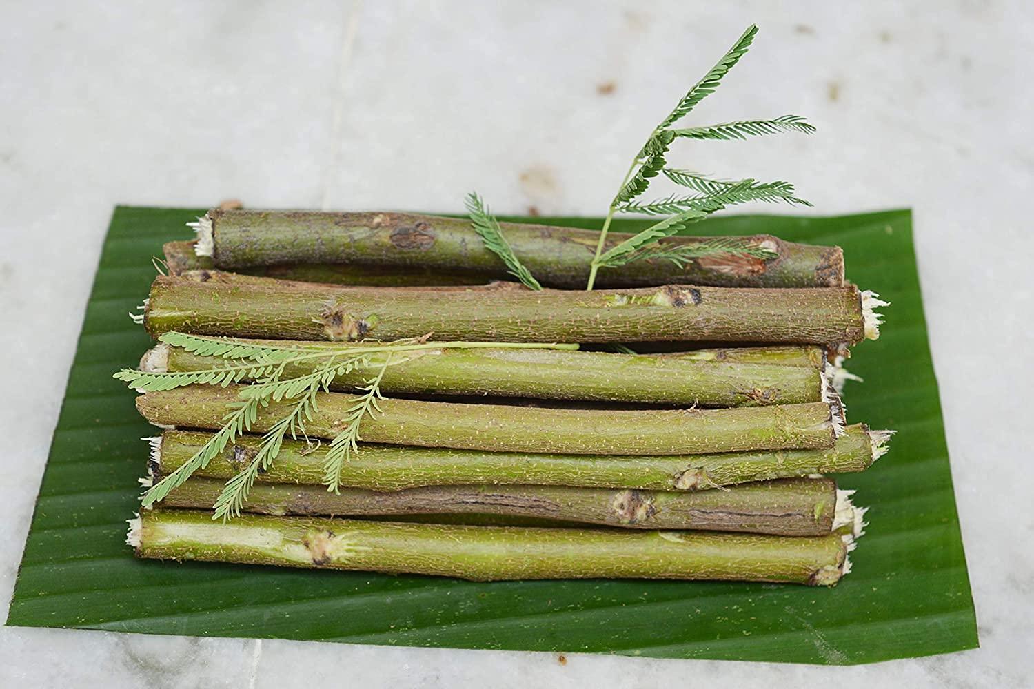 R P Enterprises Organic ll ayurvedic ll Babool Datun ll Manual Tooth Brush II Chewing Stick for Healthy and Strong Teeth for regular use (31)