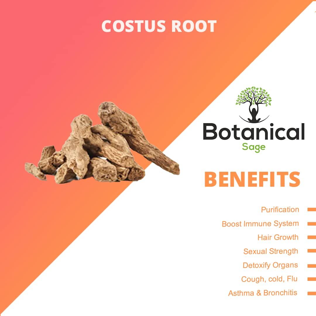 Botanical Sage Botanical Sage- Costus Root 100g | Qust Al Hind | Indian Costus Root