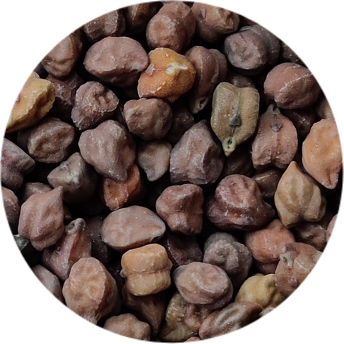 Kitchen Jungle Kitchen Jungle Seven Assorted Grains | 7 Dhan | Dhaan | sapt dhany for Pooja (  / 7 ) (10 Grams Each)