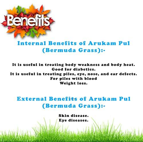 DIETS ORGANICS DIETS Organics Arukam pul powder, Bermuda Grass Powder 250 gms pack of 1