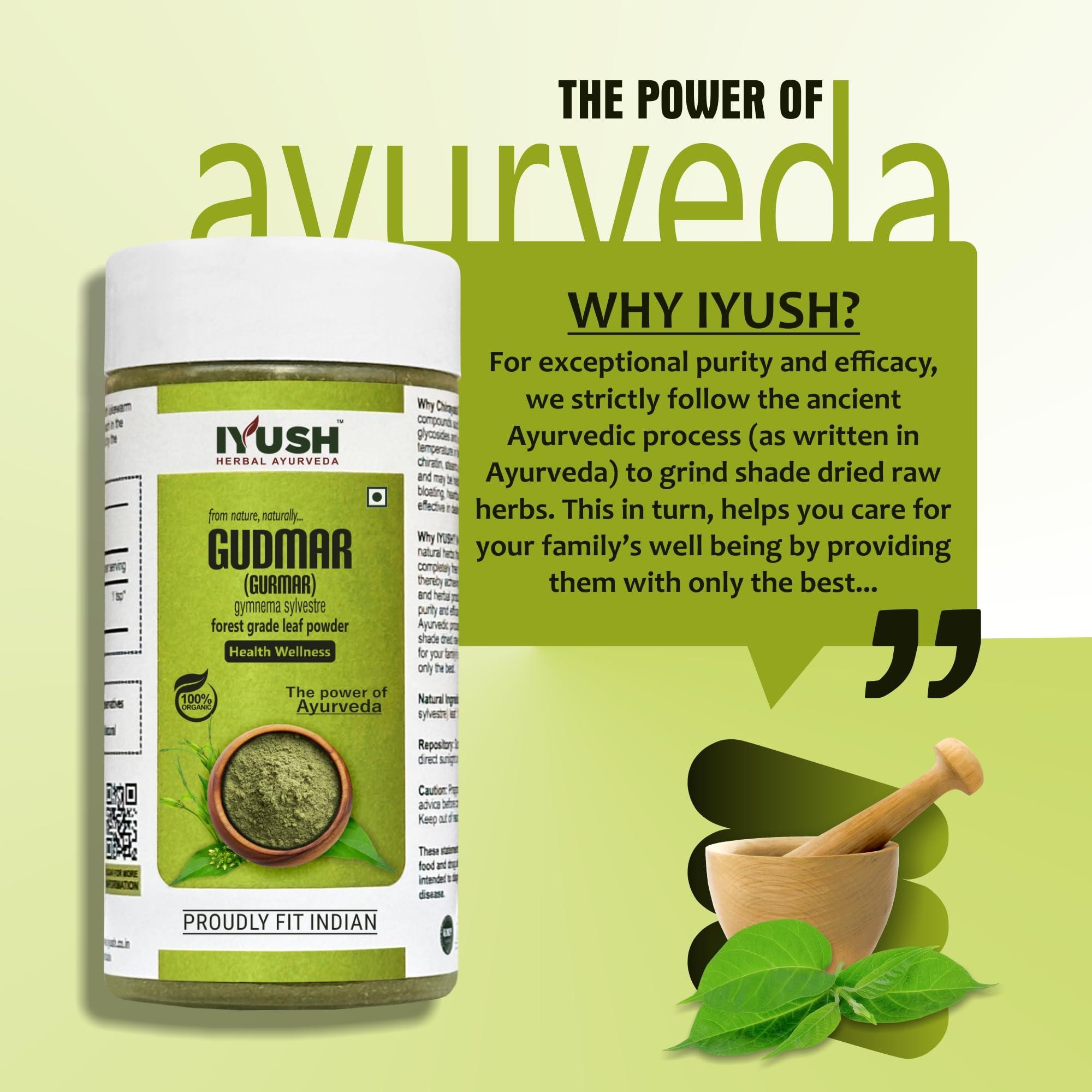 IYUSH Herbal Ayurveda IYUSH Herbal Ayurveda Gudmar/Gurmar Powder - 100gm