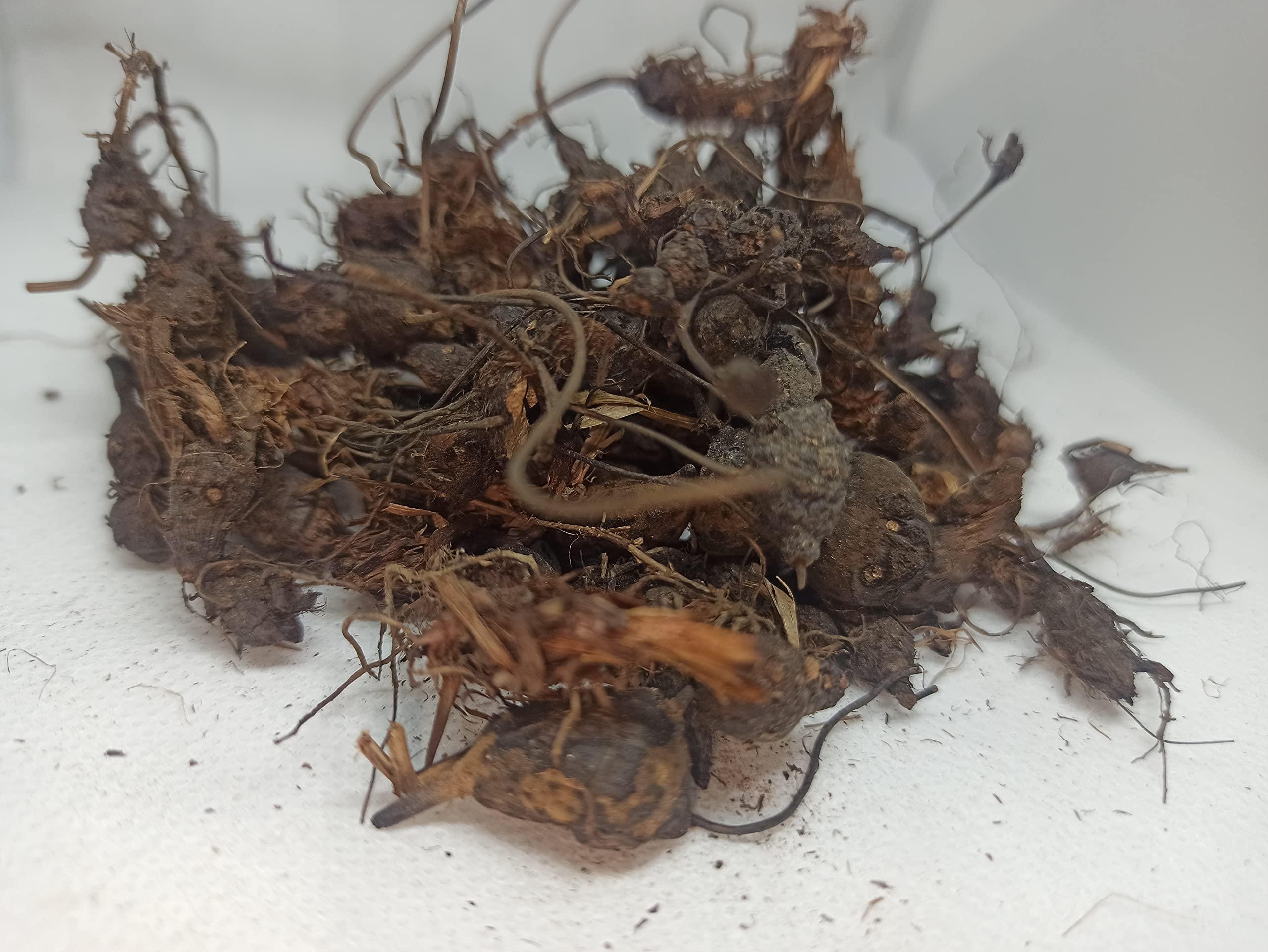 Generic NATURALIFE\'S-*KOORAIKILANGU*-NAGARMOTHA/KORAI KIZHANGU | CYPERUS ROTUNDUS | MUSTA HERB