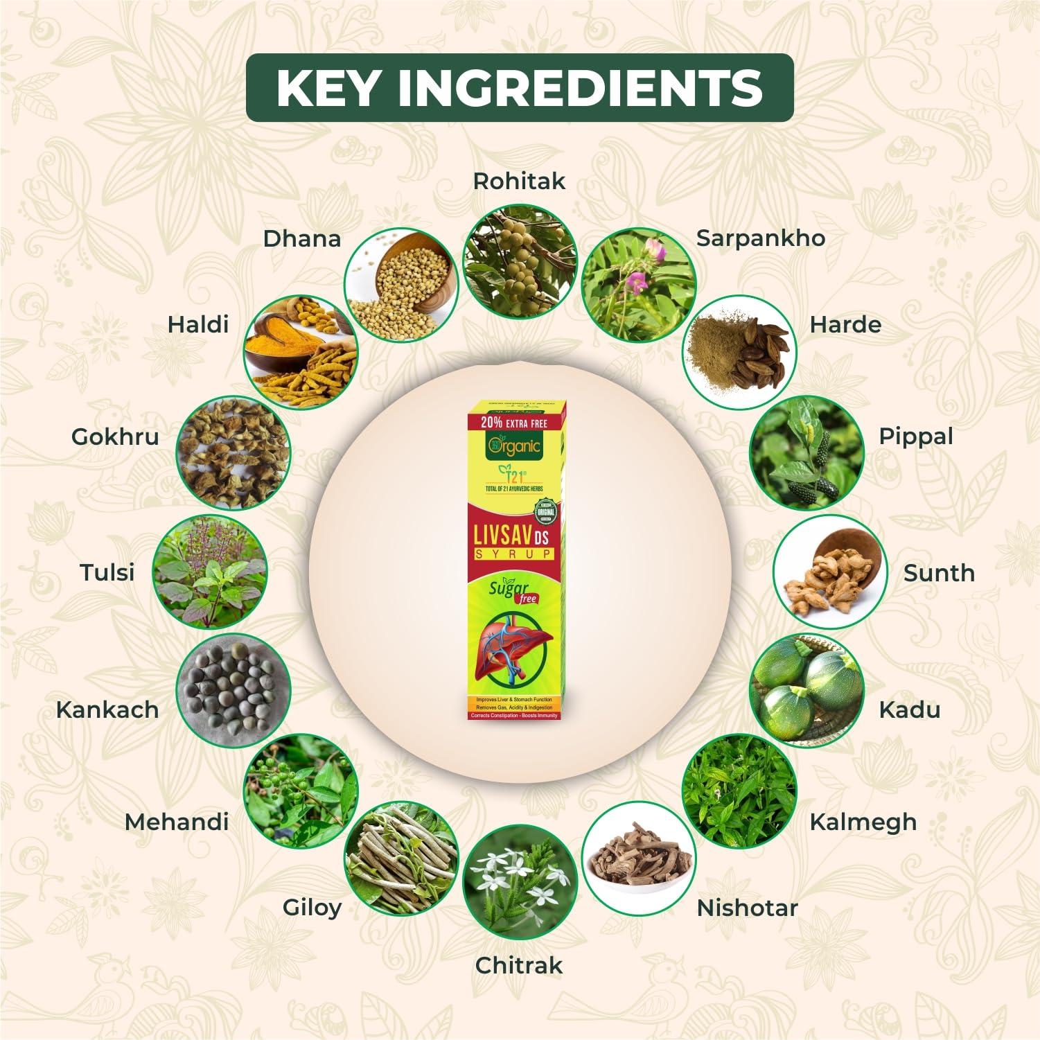 360 DEGREEORGANIC 360 Degreeorganic Livsav Ds Syrup (Sugar Free) - 240 Ml