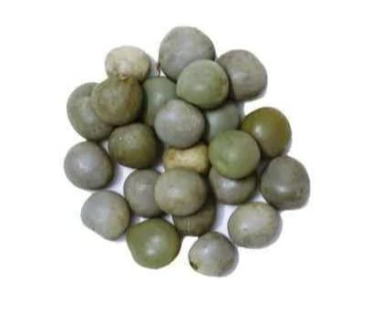 Generic Kalarchikai | Gajga | Fever Nut | Caesalpinia Bonducella | (50 g) - Dhanvant Herbal Shop