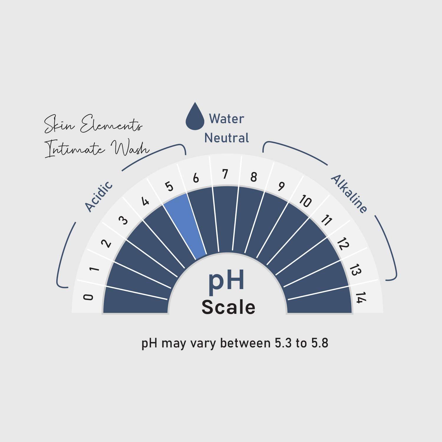Skin Elements Skin Elements Intimate Wash for Men with Tea Tree Oil | pH Balanced Foaming Hygiene Wash | Prevents Itching, Irritation & Bad Odor | 60 ml