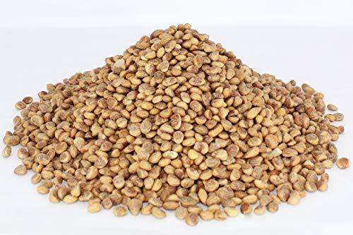 Swiss Naturals Swiss Naturals Almondette Kernels | Charoli Dry Fruits | Chironji Seeds Organic | Chiraunji Dana, 900 gm