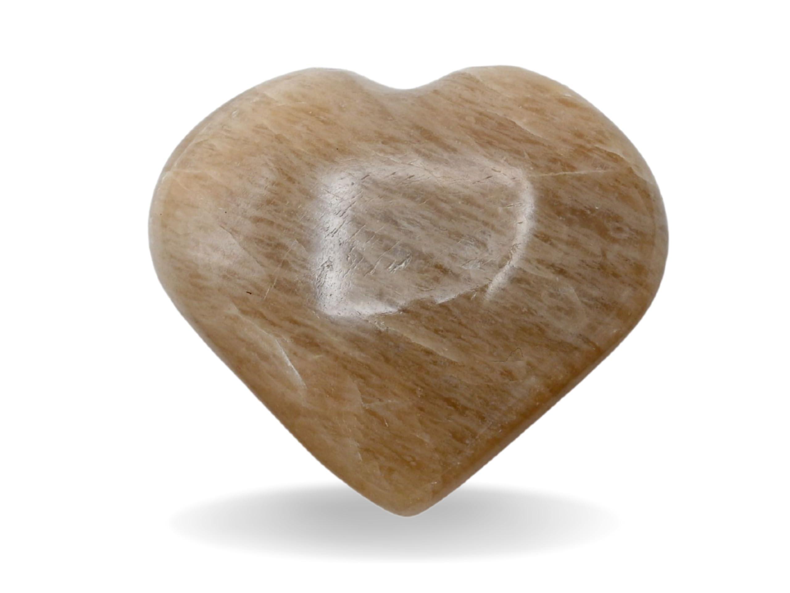 OZiva OZiva Daily Protein Activ for Women | Best Protein Powder for Women with 120g Protein, Probiotics, Shatavari for Increased Energy Levels, Bone Health and Hormonal Balance 300g (Chocolate, Pack 1)