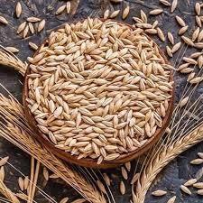 Nature Vit NatureVit Jau, 1 kg [Whole Raw Barley Grain]