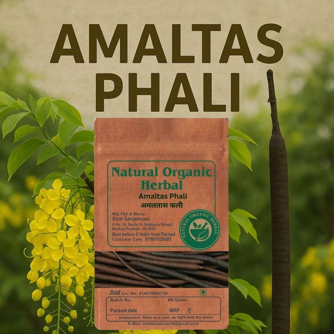 NATURAL ORGANIC HERBAL NATURAL ORGANIC HERBAL Amaltas Phali -fali Amaltas - Cassia Fistula -100g-Pure - No Mixing
