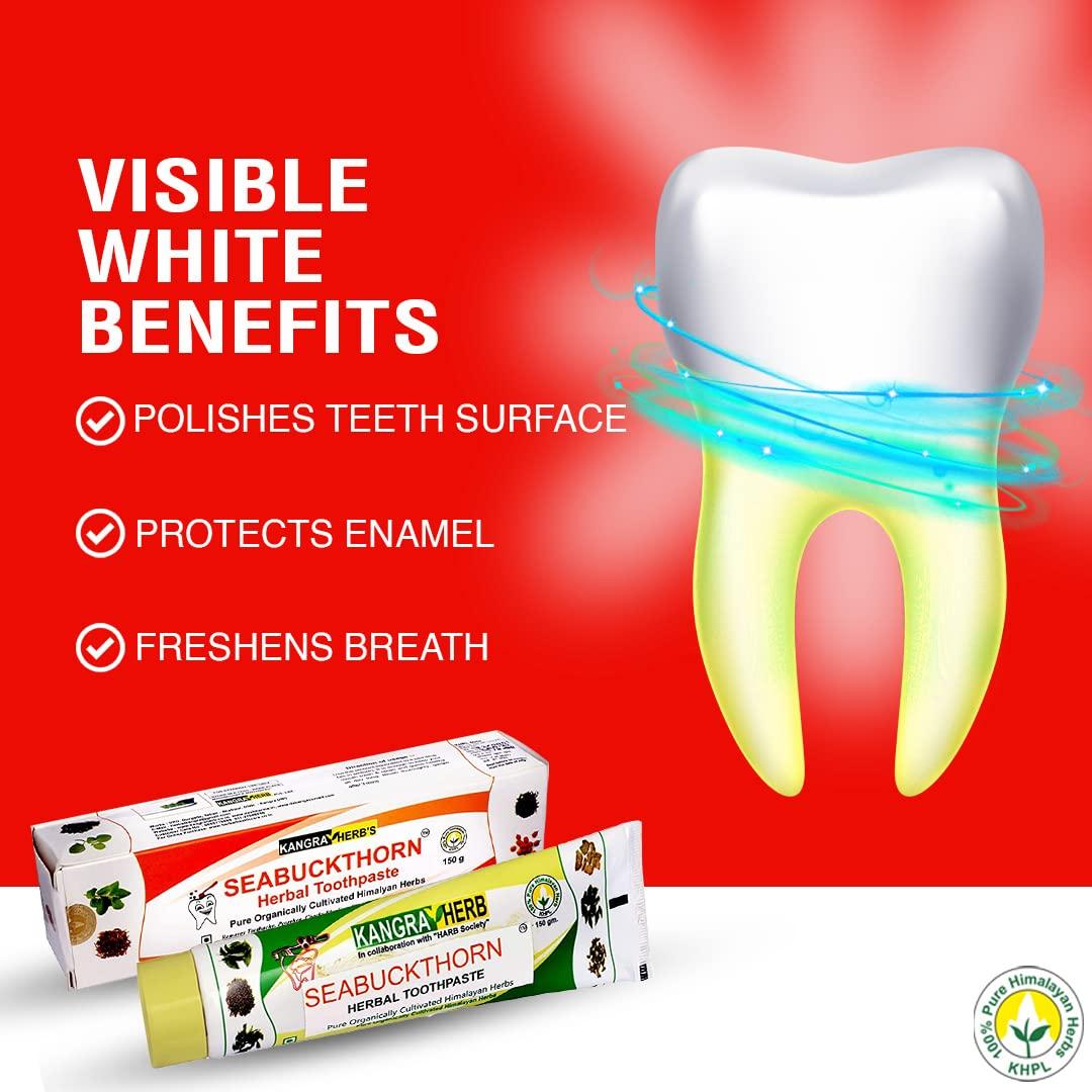 Kangra Herb KANGRA HERB Seabuckthorn Herbal Multi Action Toothpaste (150Gms), Made With Pure Organically Cultivated Himalayan Herbs