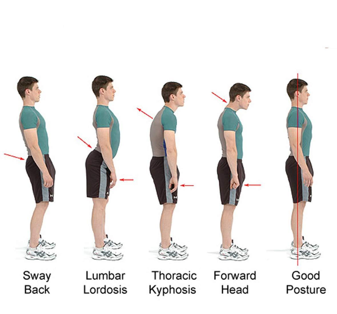 House of Quirk House of Quirk Posture Support Brace | Best Fully Adjustable Support Brace | Improves Posture and Provides Lumbar Support | For Lower and Upper Back Pain (XL)