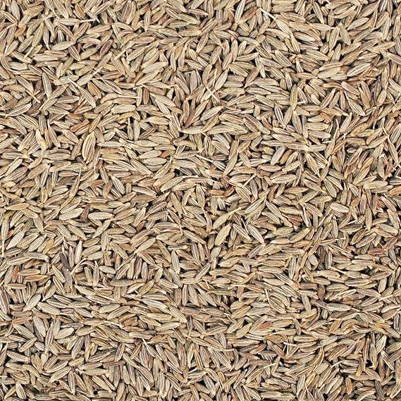 PoshtikSutra PoshtikSutra Cumin Seeds (Jeera) - 100g of Pure Goodness