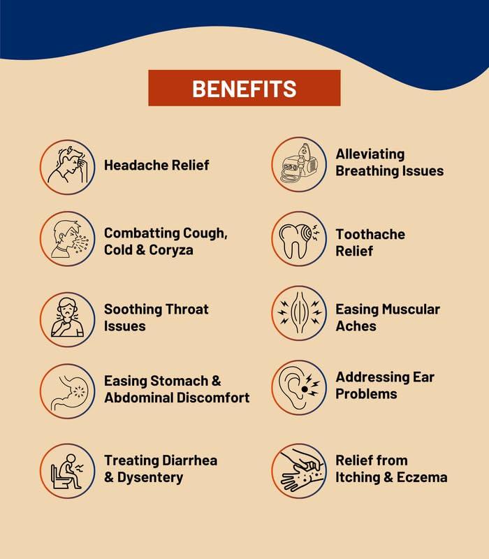 Zinda Tilismath Zinda Tilismath 15ml (Pack Of 1) Ayurvedic Herbal Remedy For Common Ailments & Immunity Booster, Cough Relief Pain Relief Oil- Trusted Home Remedy for Internal & External Use