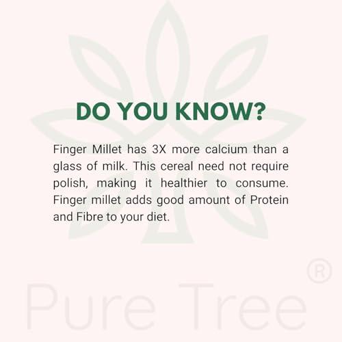 Pure Tree Pure Tree Certified Organic Ragi Whole | 900 g | Finger Millet | Nachni | Nagli | Ragi Millet Gluten-Free | Bavto | Red Finger Millet | Ragi Whole Grain