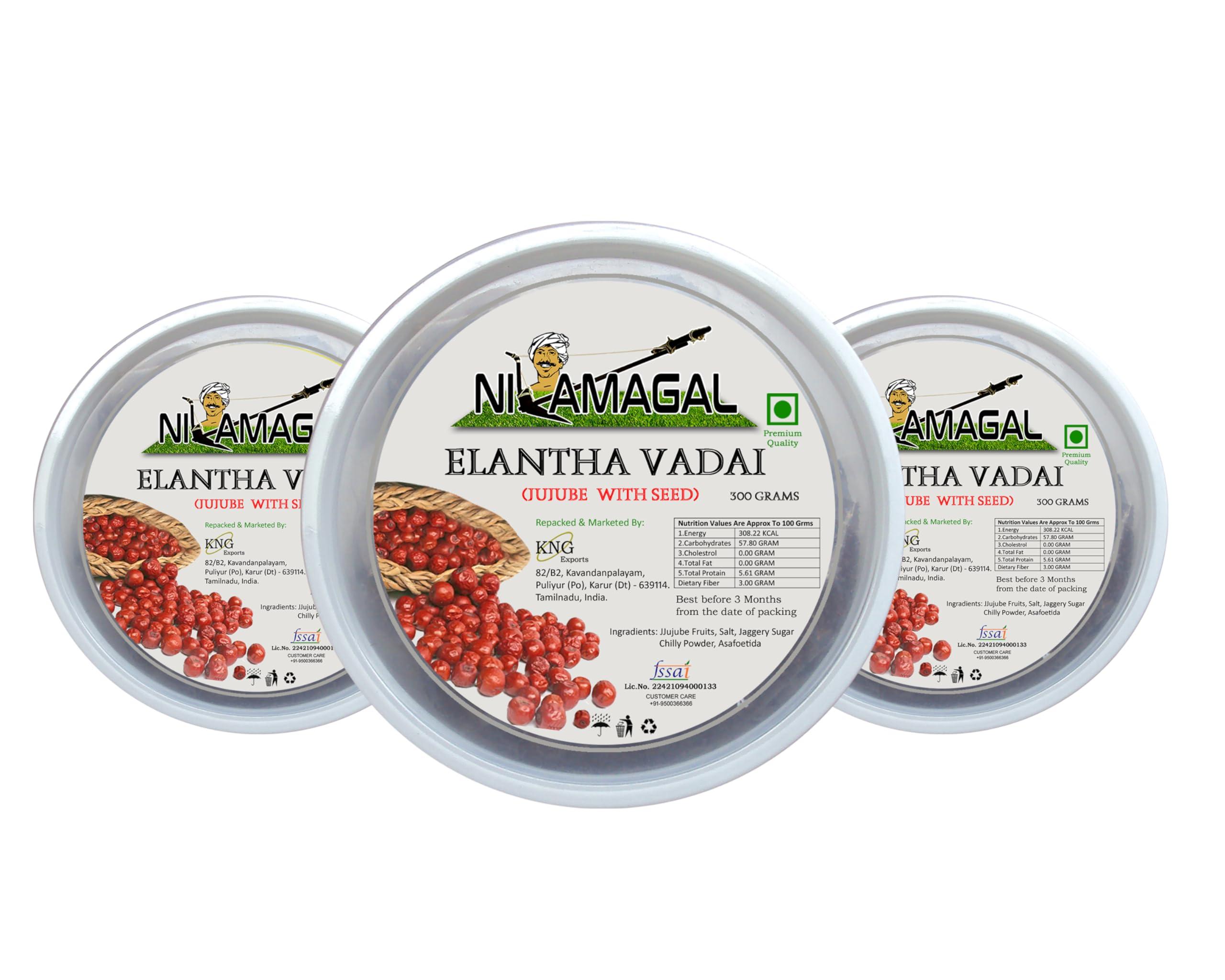 Generic Nilamagal - Elantha Vadai With Seed | Jujube | Regi Vadiyalu | | Traditionally Made | 100% Natural | 300 Grams