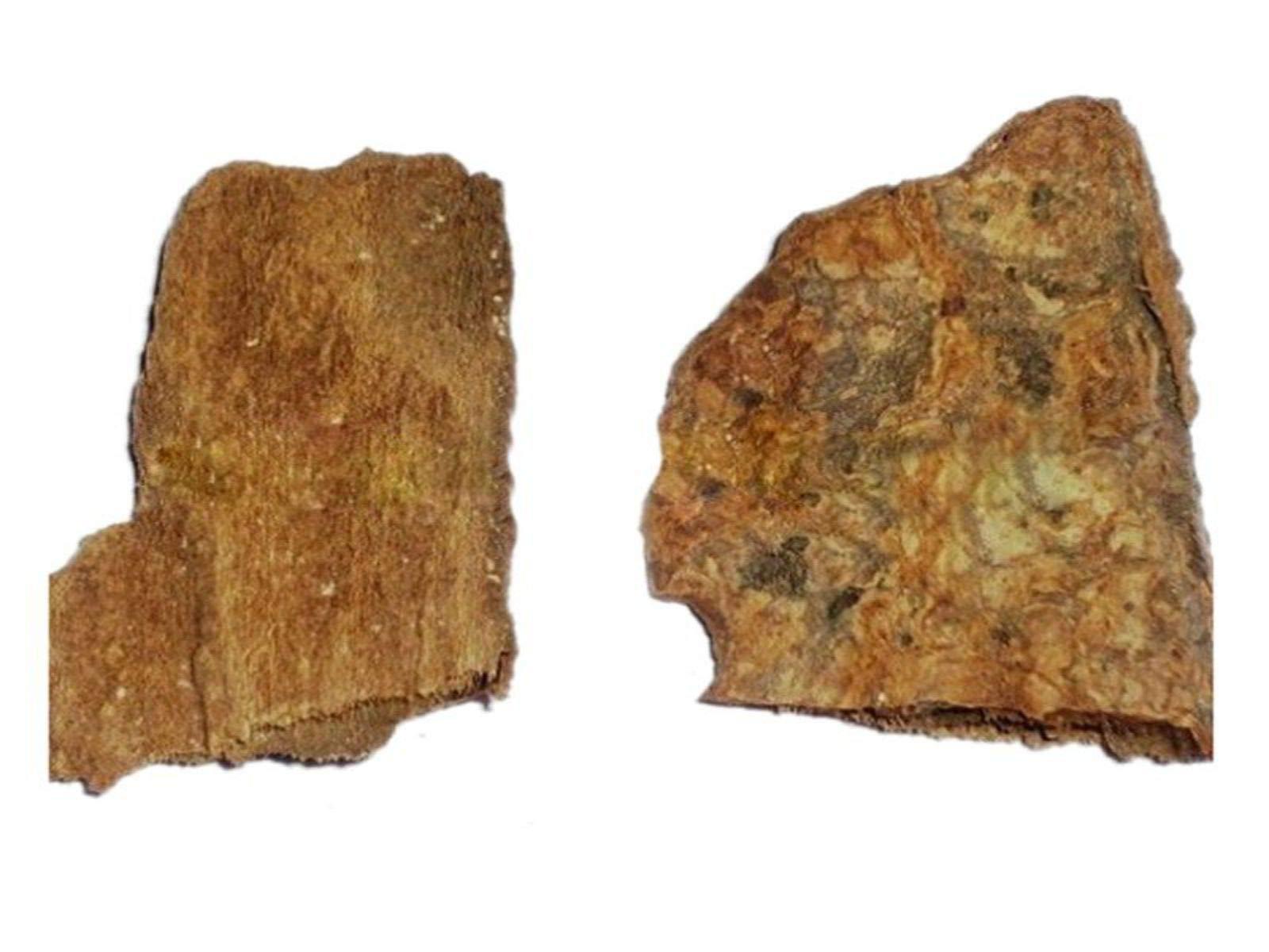 vinarghya vinarghya Organic Khanduchakra Chaal Ovate Leaved Ivory Wood Vadhavaradi Bhairi Chamror Kalo Gamdo Caranti Datrangi Ajaanvruksha Ehretia Laevis 100g