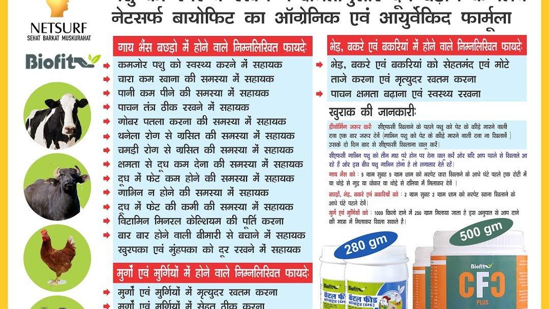 Netsurf CFC Plus 500 Gram, Powder Milk Gainer Netsurf Bio Fit, BIOFIT CFC Plus Extracts Concentrate Plus ( Pack of 1)