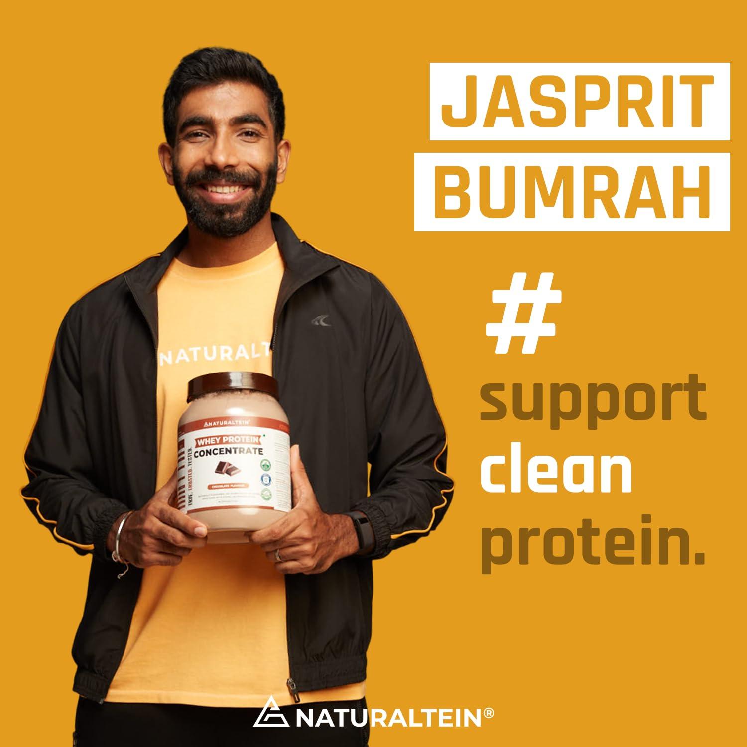 NATURALTEIN NATURALTEIN 100% Natural Plant Protein Berry (22.1 G Protein)