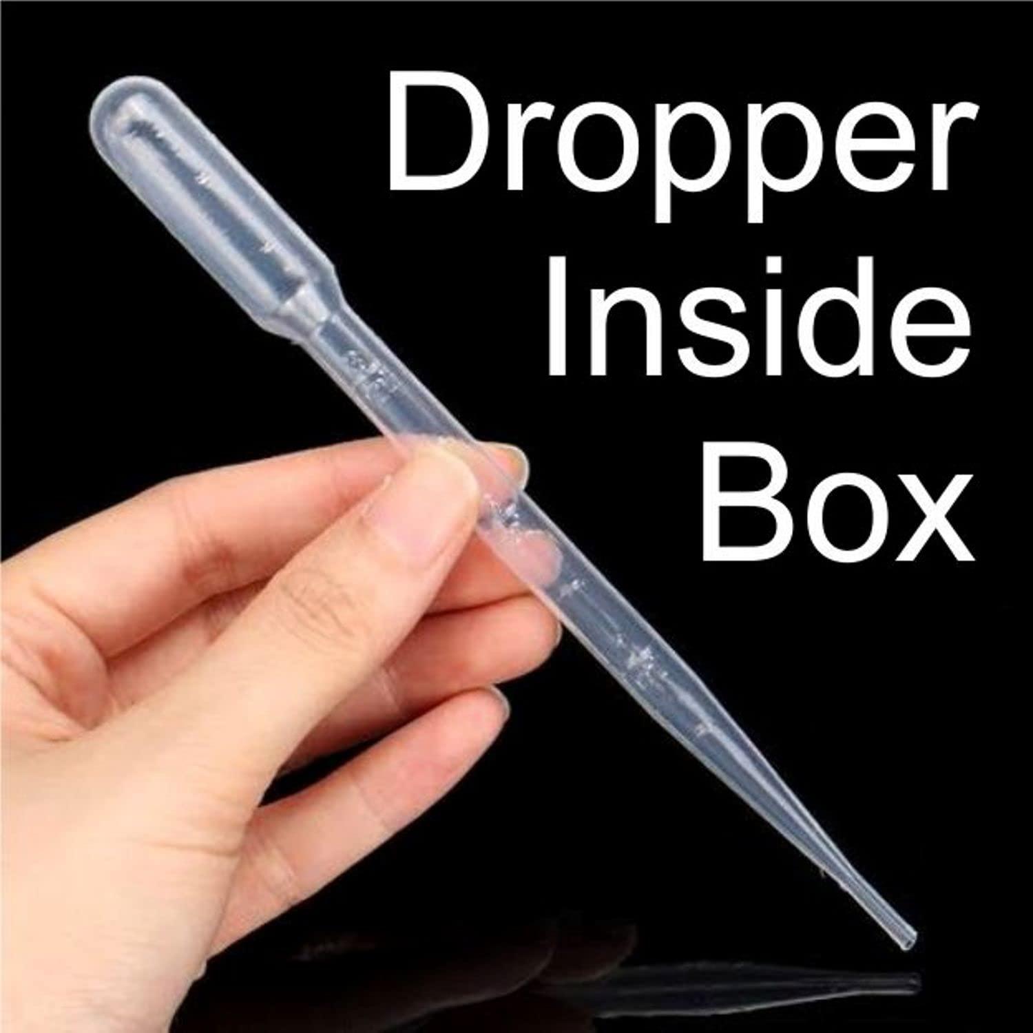 PAPILON Papilon Natural Dum Biryani Masala Essence 500ml