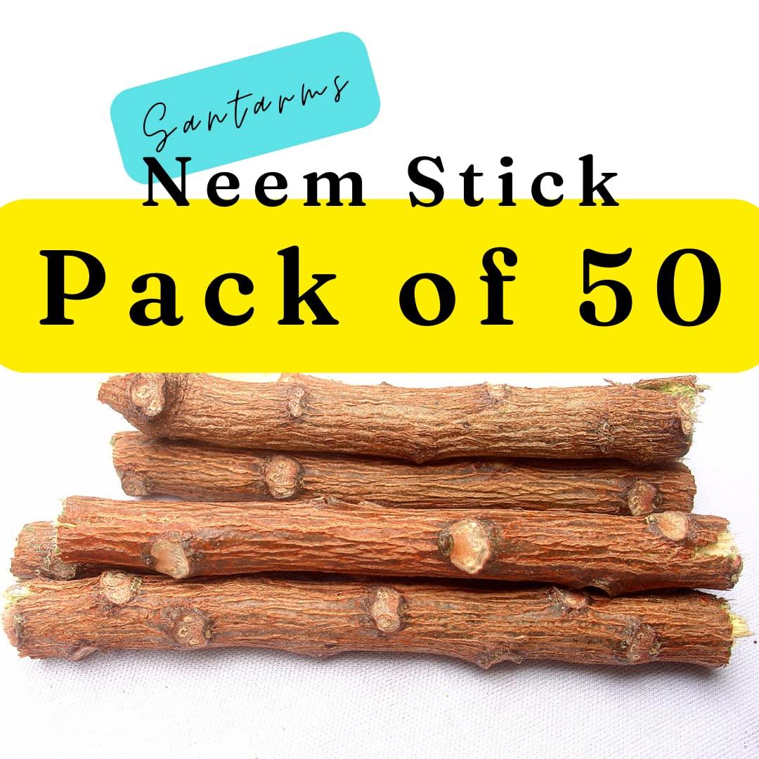 santarms Santarms Ayurvedic Natural Organic Fresh Neem Stick Datun Toothbrush Nim Tree Twigs Chew Sticks For Brushing Teeth Removes Bad Breath PACK OF 50 STICKS