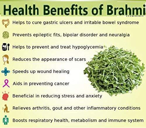 MALVANIYA HERBAL CARE Brahmi Hair Powder | 100% Natural Herbal for Hair Cleanser 227 Grams By Malvaniya Herbal Care