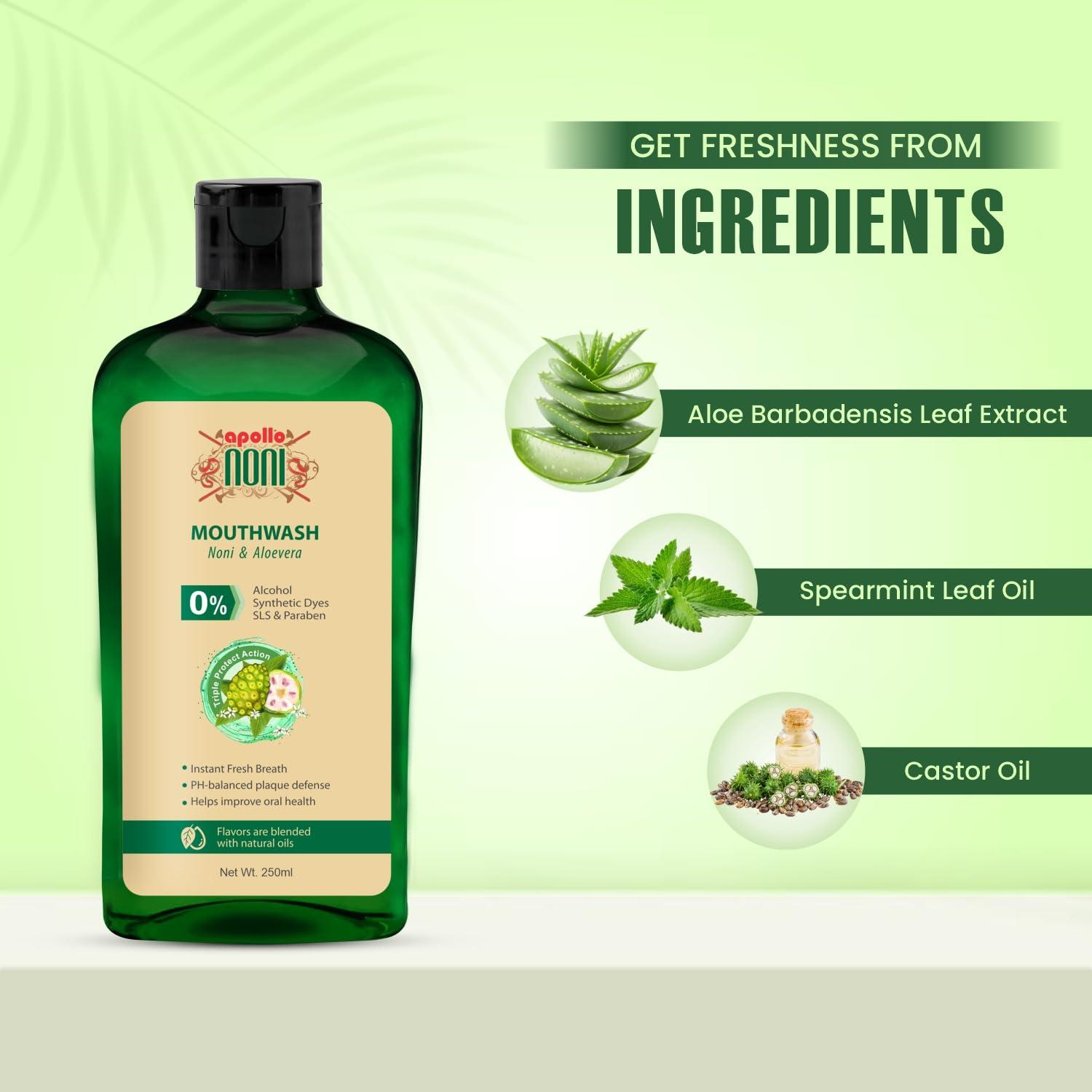 apollo NONI Apollo Noni Noni Toothpaste for Teeth Whitening & Cavity Protection (150g) and Mouthwash Liquid 0% Alochol For Teeth Cleaning, Antibacterial Mouthwash for Bad Breath | Removes Germ | 250ml