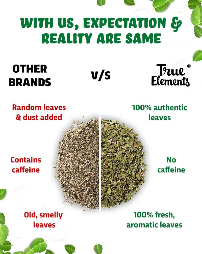 True Elements True Elements Spearmint Herbal Tea 100Gm - Tea For Pcos | Caffeine Free | Helps With Women Health | Loose Leaves
