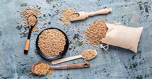 Eywa Seeds & Exports Pvt Ltd SHARBATI WHEAT FLOUR (10 KG) for eating and cooking | Pearl Millet Flour | Produce of India from Organic Farms | BY EYWA