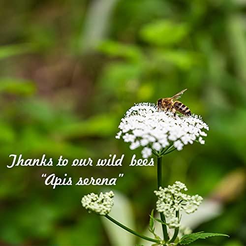 SAMRUDDHI NATURALS SAMRUDDHI NATURALS - Raw Unprocessed 100% Pure Deep Forest DARK Honey from Apis Serena from Western Ghats|Immunity Booster|Lab Tested|-250gms