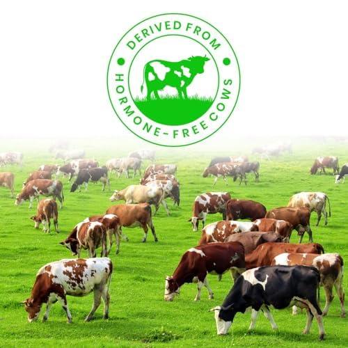 NATURALTEIN NATURALTEIN Natural Whey Protein Isolate Caffe Mocha - 300g (Naturally flavored, Non GMO, No Artificial Sweeteners).