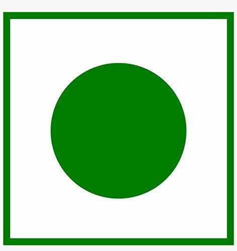 SAI HERBS SAI HERBS Kalmi Shora - Potassium Nitrate - Saltpeter - Pure & Natural (100 Grams)