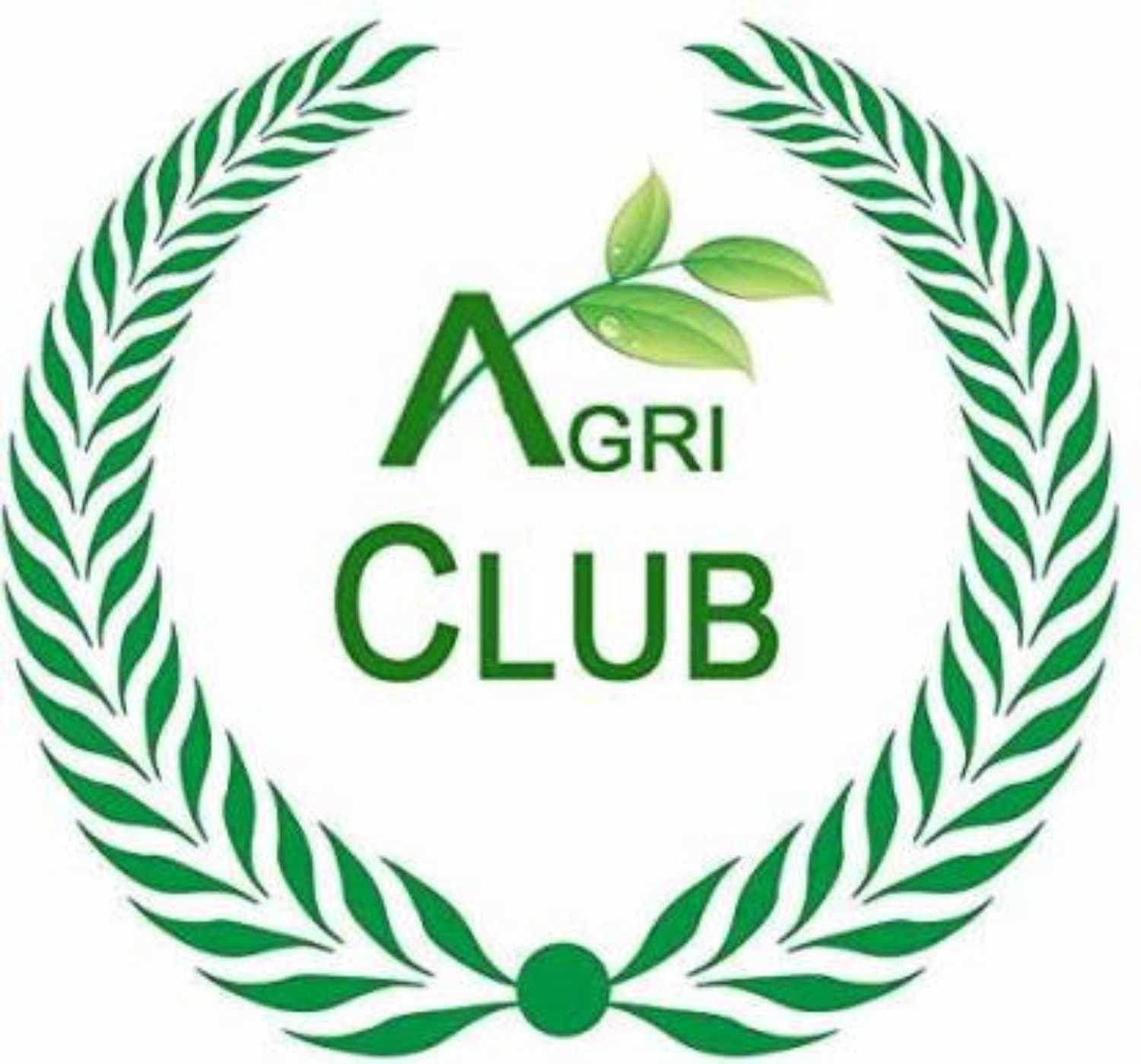 AGRI CLUB Pan Pasand Candy 240gm (Pack Of 2) Each 120gm | Mouth Freshener | Agri Club