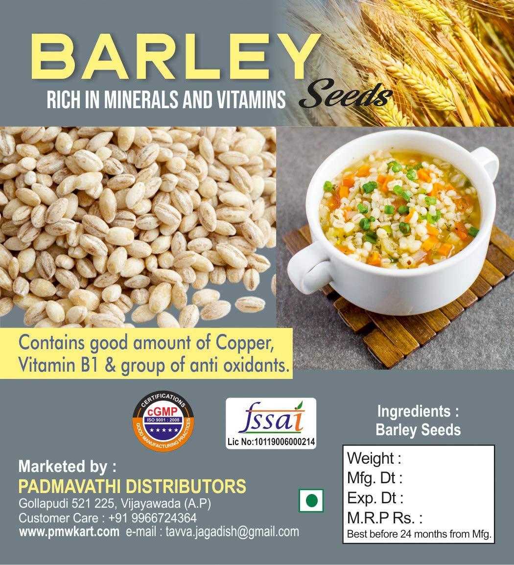 Pmw Pmw - Jar Pack - Barley Grains - Jav - Cleaned - Hordeum Vulgare - 500 Grams