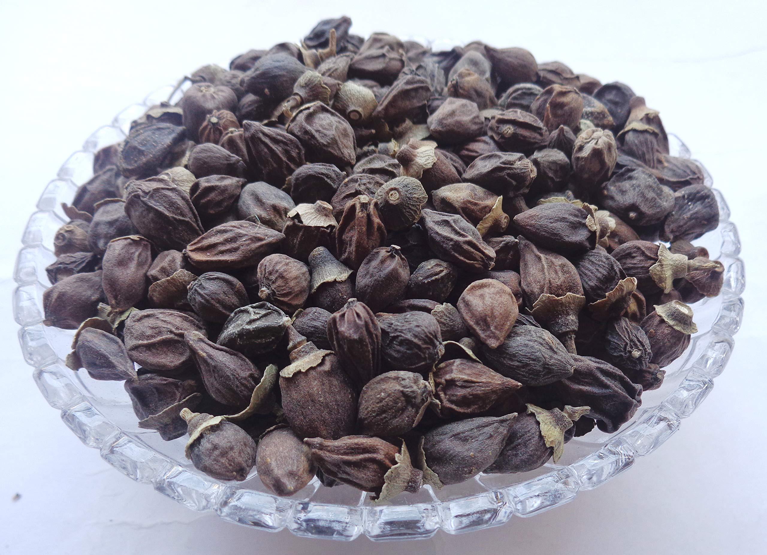 DEVAMA THE DIVINE DEVAMA THE DIVINE Dry Lasoda - Dry Lesus - Gunda - -LISODHA DRY - LASODA - LASORA - LISODA - LESUA - SAPISTAN 100Grm