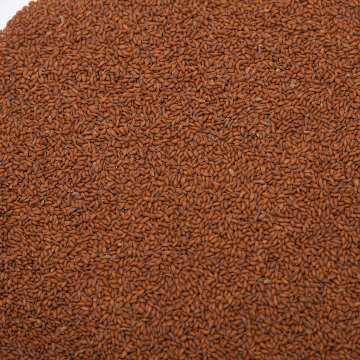 Dry Fruit Hub Dry Fruit Hub Halim Seeds 250gms, Halim Seeds Organic For Eating, Aliv Seeds, Aliv Seeds For Eating, Halim Seed, Garden Cress Seeds