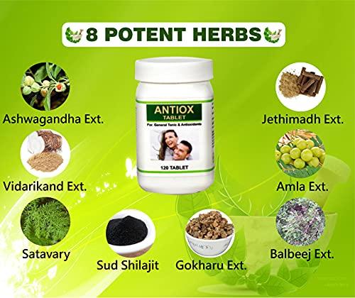 Sunshine Creation Sunshine ANTIOX TABLET (Anty-Oxidant & General Tonic - 120 Tablets (Ayurvedic Medicine For General Tonic)