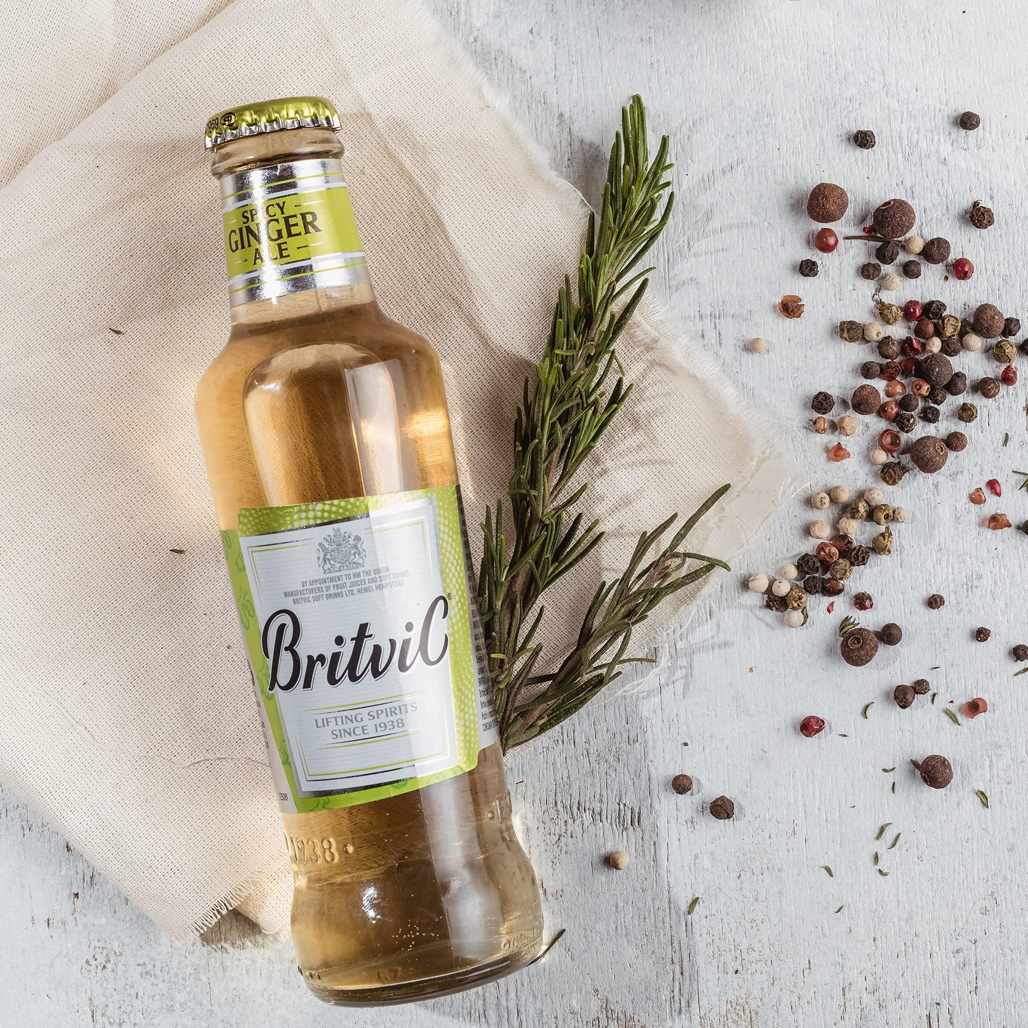 Britvic Britvic Ginger Ale, 200 ml